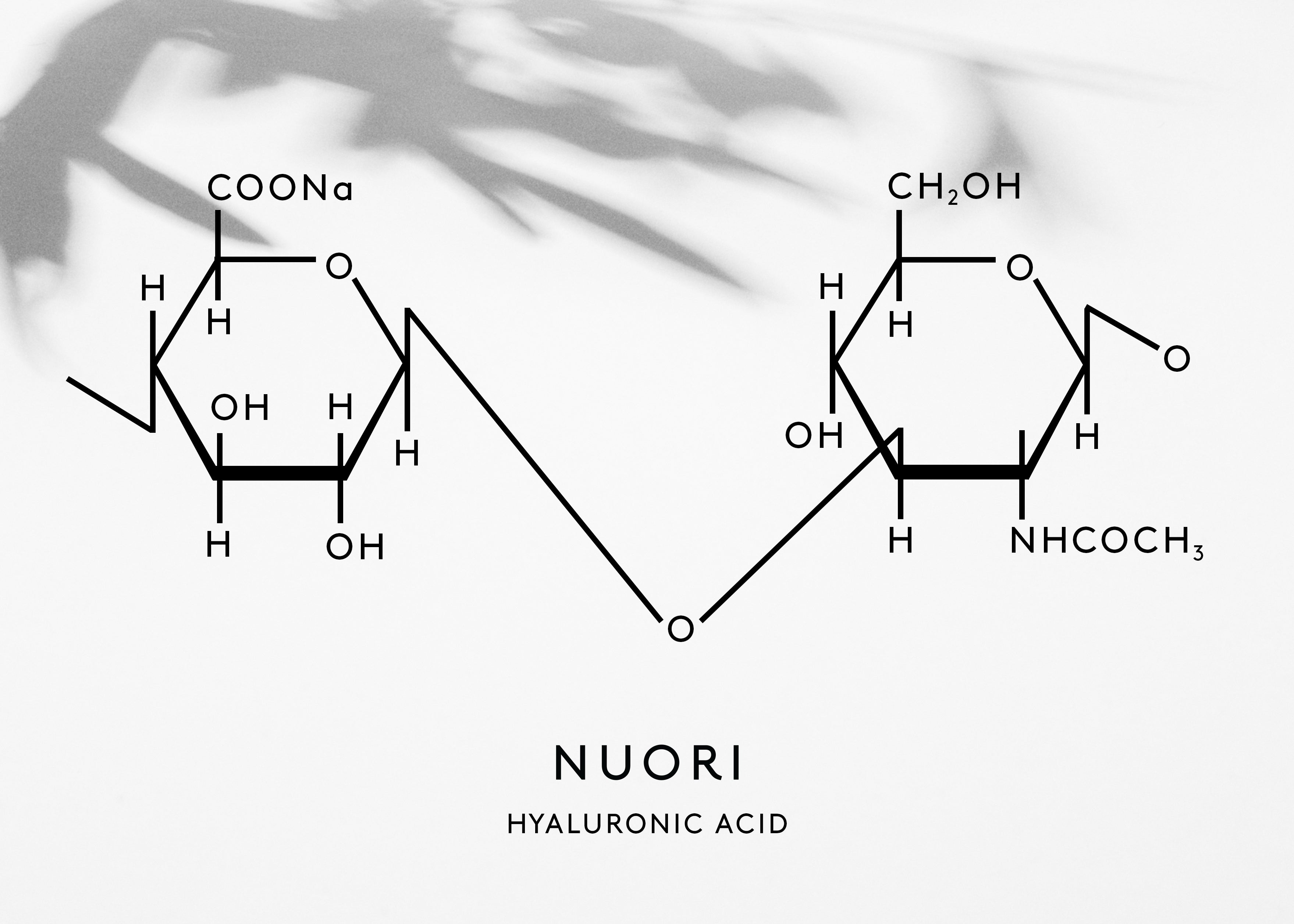 Acide Hyaluronique