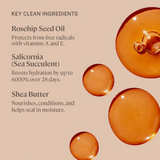 Balmy Tint Hydrating Lip Balm