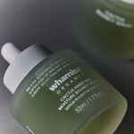 Image de diapositive