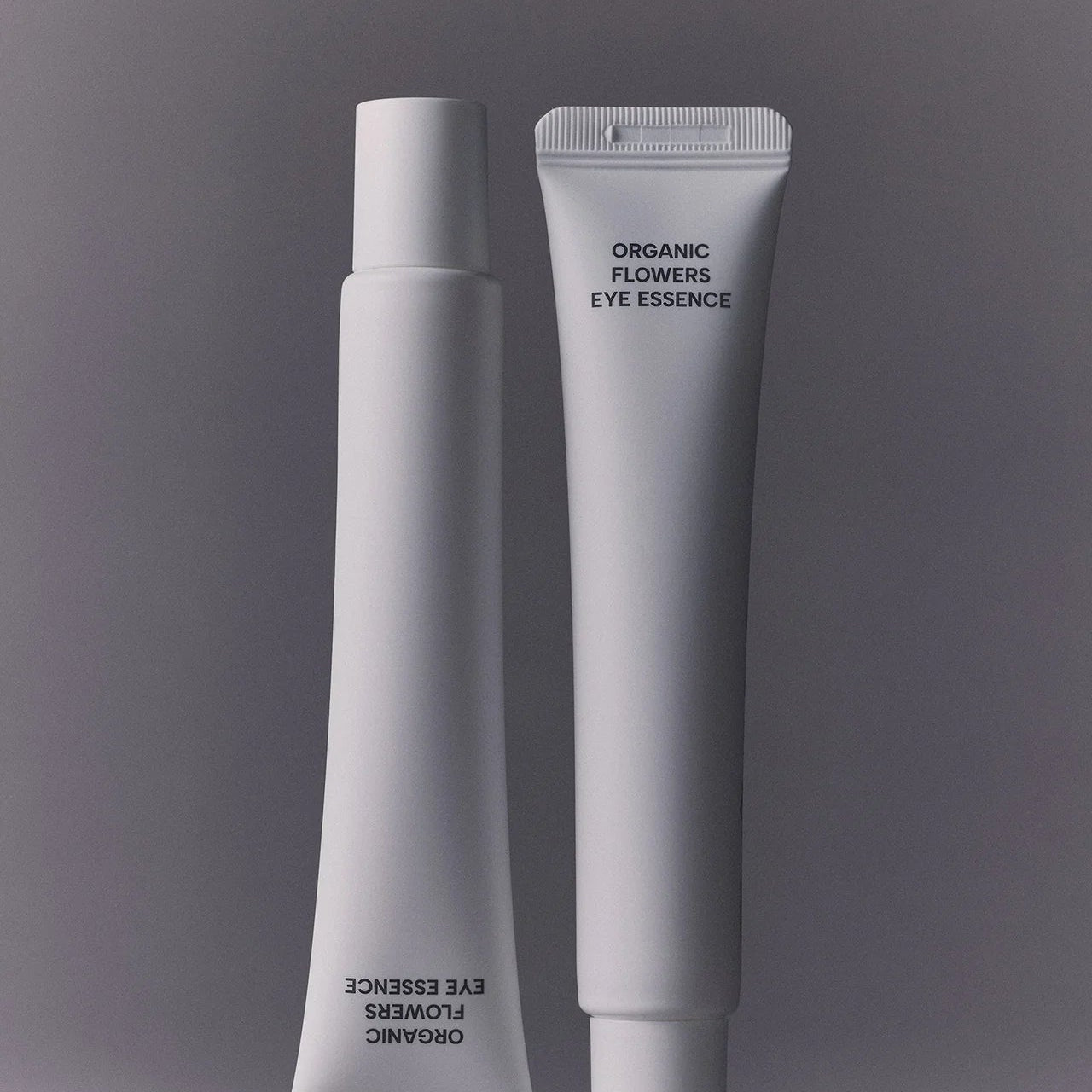 Image de diapositive