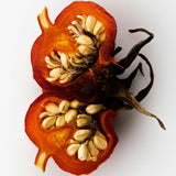 Glowing Guard Face Oil