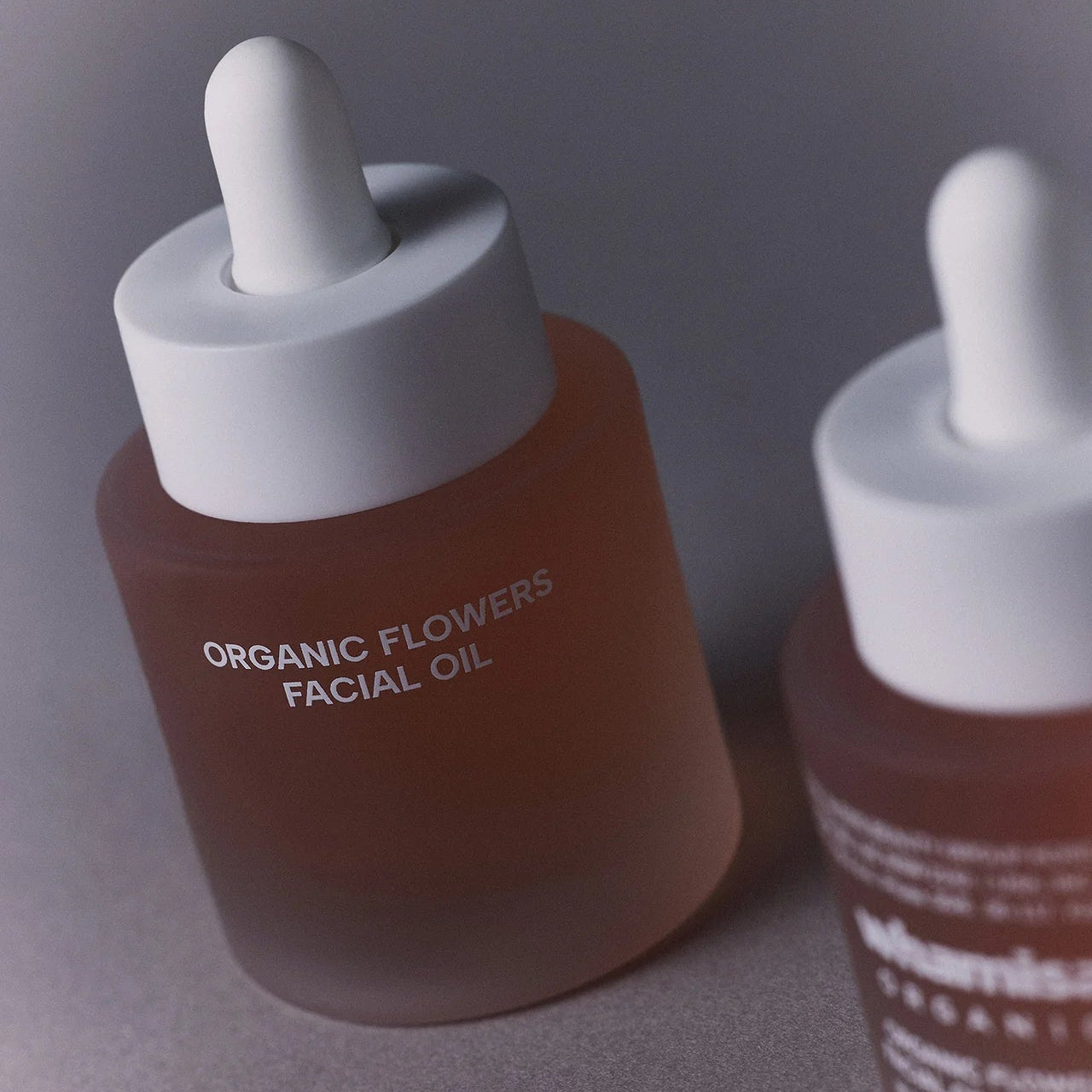 Image de diapositive