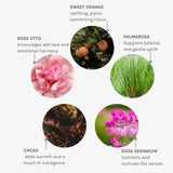 Wild Divine Bio-Retinol Body Oil