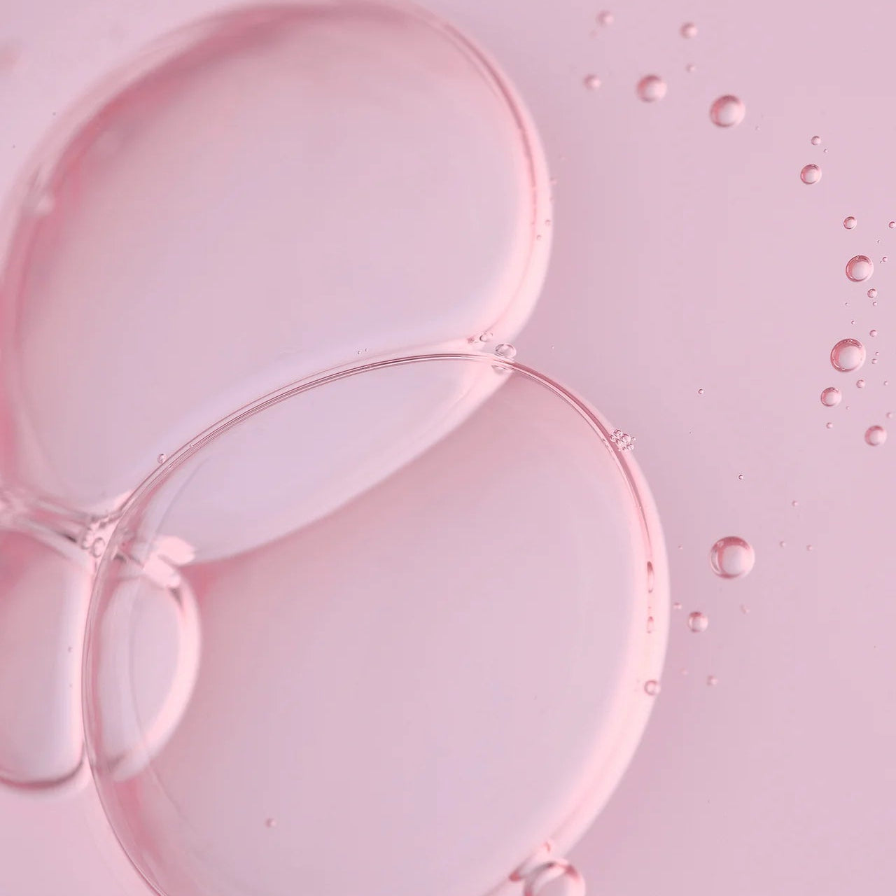 Image de diapositive