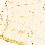 Image de diapositive