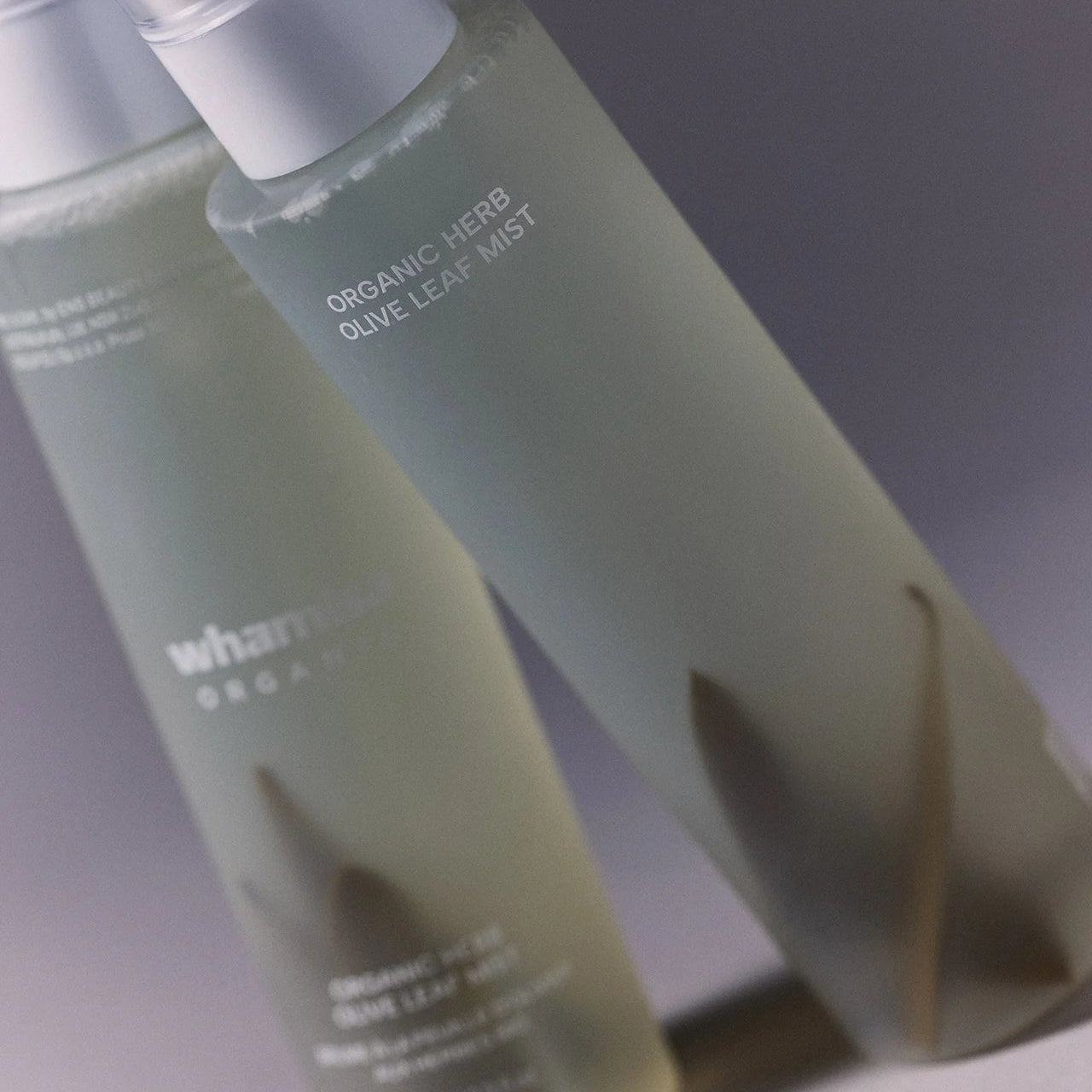 Image de diapositive