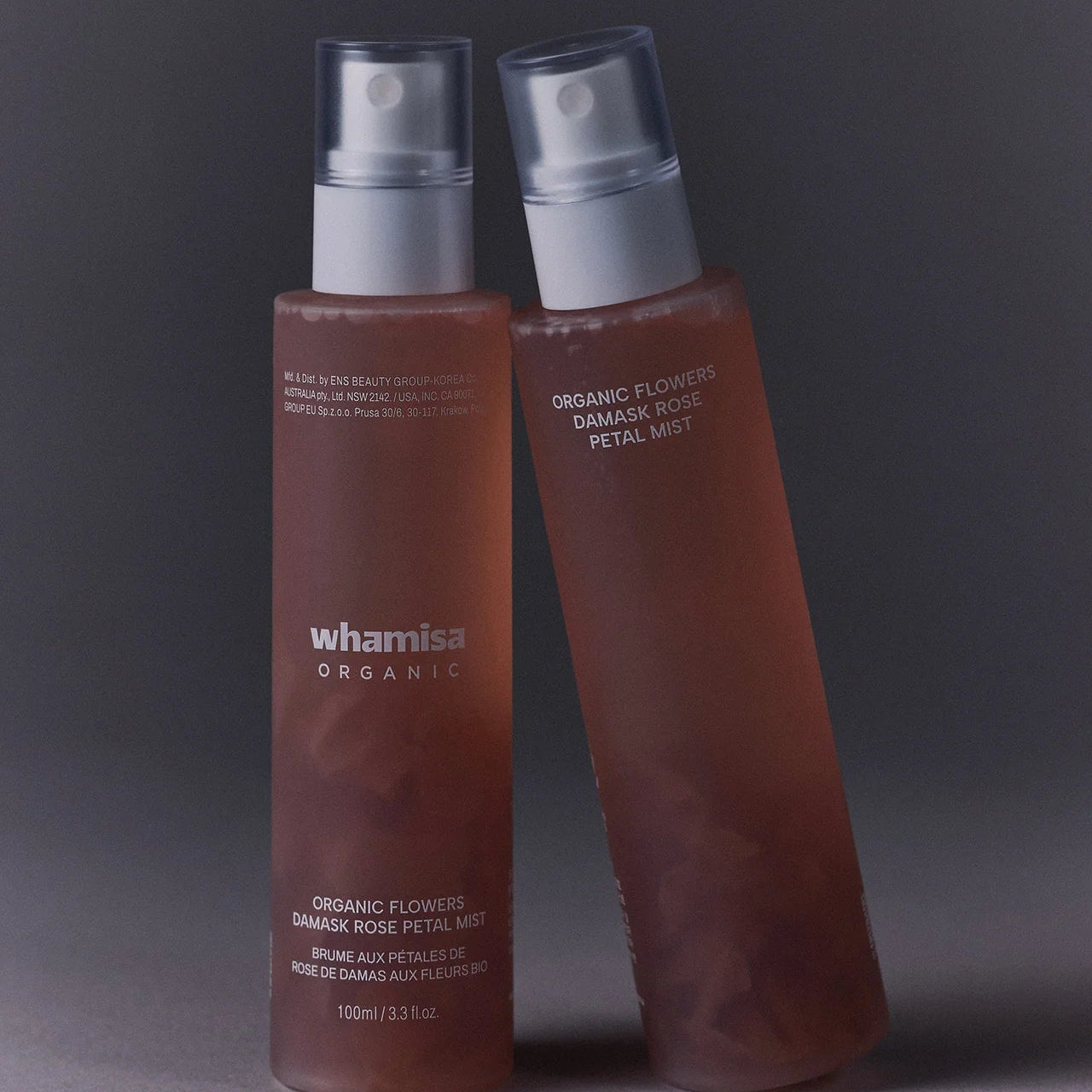 Image de diapositive